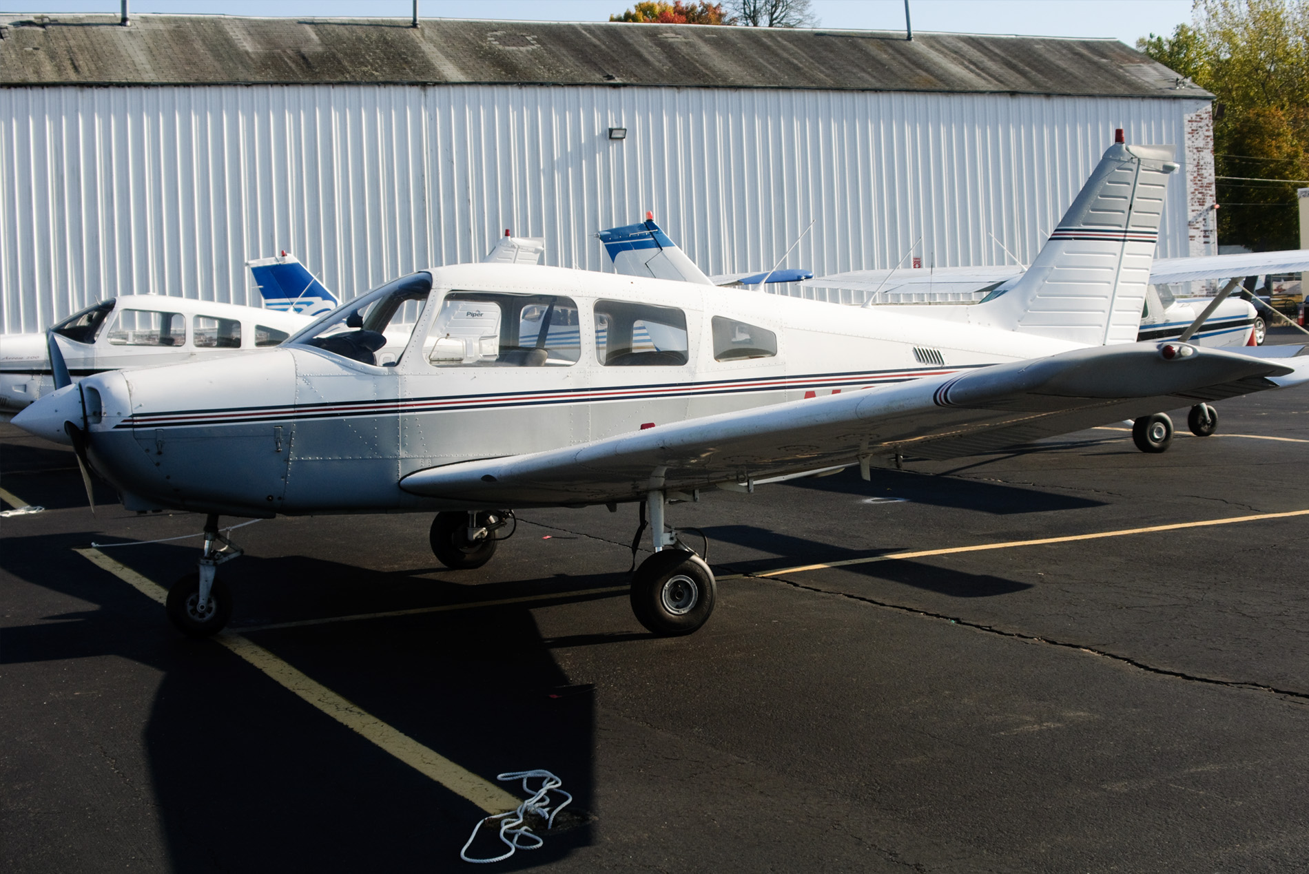 N81441